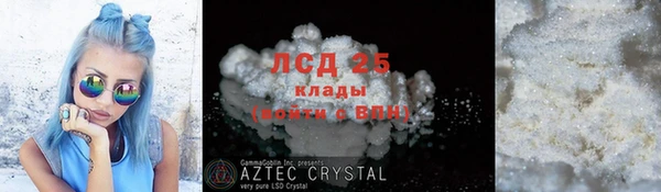 стафф Алзамай
